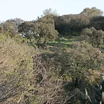 Le Bois Des Espeisses 2* Nimes