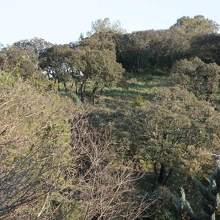 Le Bois Des Espeisses 2* ニーム