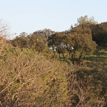 Le Bois Des Espeisses 2* Ним